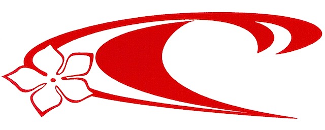logo Juniors kleur